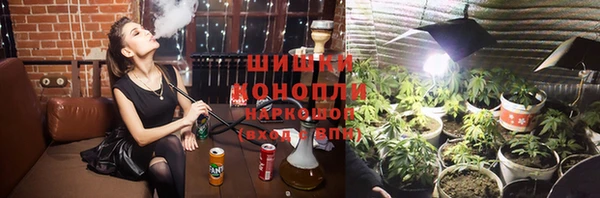 крисы Наволоки