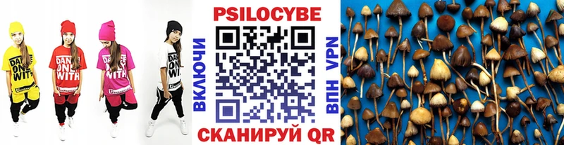 blacksprut онион  купить наркотик  сайты даркнета как зайти  Псилоцибиновые грибы ЛСД  Кадников 